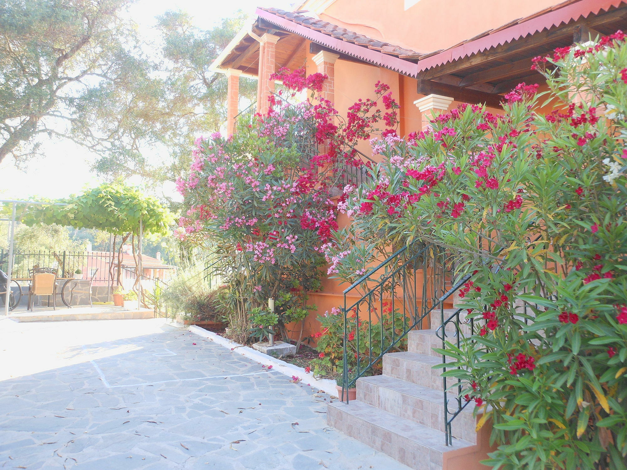 Ziogas Luxury Apartments Dassia  Exterior foto